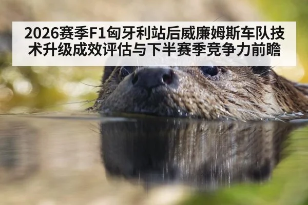 2026赛季F1匈牙利站后威廉姆斯车队技术升级成效评估与下半赛季竞争力前瞻