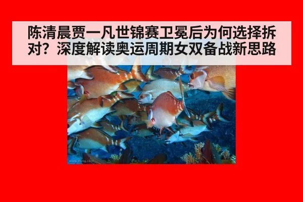 陈清晨贾一凡世锦赛卫冕后为何选择拆对？深度解读奥运周期女双备战新思路