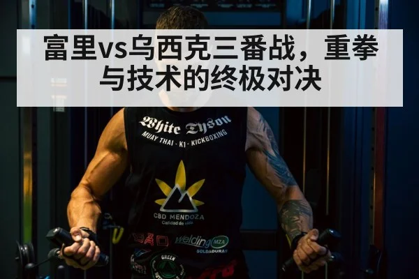 富里vs乌西克三番战,重拳与技术的终极对决