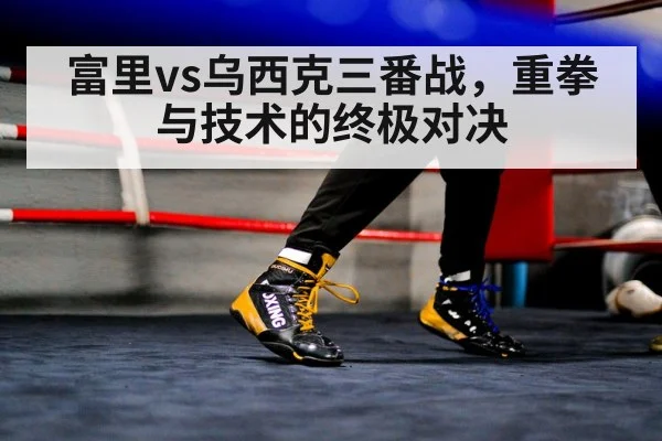 Oleksandr Usyk footwork
